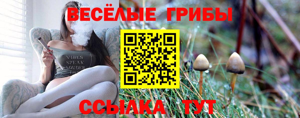 Псилоцибиновые грибы ЛСД  Вход с VPN  Ртищево 